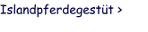 Islandpferdegestüt >